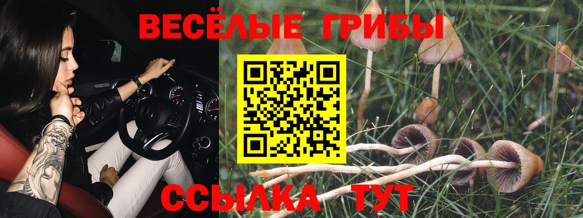 Псилоцибиновые грибы Magic Shrooms  Вход с VPN  Гулькевичи  Галлюциногенные грибы Cubensis 
