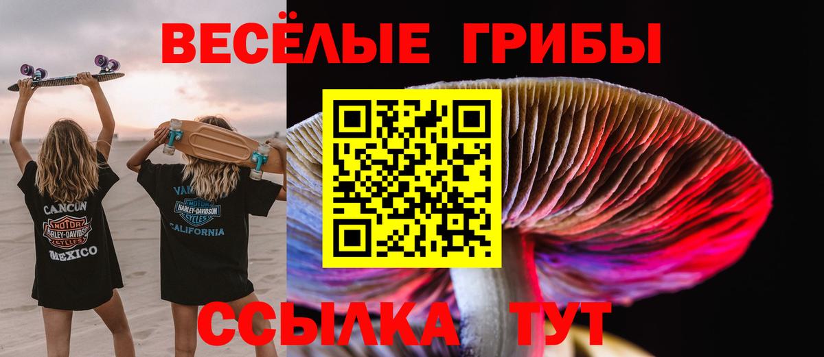 Галлюциногенные грибы мицелий Гулькевичи
